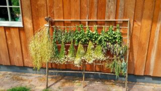 vast een voorproefje voor de open dag. wat is het toch mooi op het landgoed.