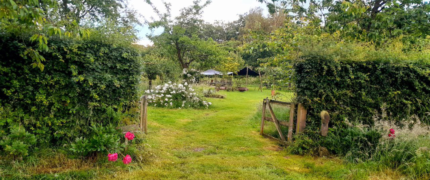 LEEF DE NATUURMEER NATUUR MEER BIOIVERSITEIT